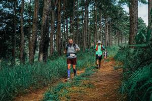 BIB: 
                            <button type="button" onclick="openModal(25752250)" class="btn btn-primary btn-sm float-right btn-popup" data-toggle="modal" data-target=".modal-high-quality">
                        <i class="fas fa-shopping-cart"></i> Add to Cart
                    </button>
                                            <button type="button" onclick="isThisMe(25752250, true)" class="btn btn-success btn-sm float-right btn-popup btn-isme hidden" data-toggle="tooltip" data-placement="bottom" title="นี่คือรูปของคุณใช่ไหม คลิกที่นี่เพื่อเอาเข้าอัลบั้ม">
                        <i class="fas fa-plus"></i> Add to album
                    </button>
                    <button type="button" onclick="isThisMe(25752250, false)" class="btn btn-warning btn-sm float-right btn-popup btn-isnotme hidden">
                        <i class="fas fa-ban"></i> Remove from album
                    </button>